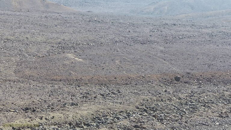 pampa colorada 020